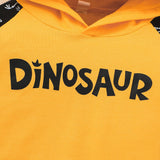 Boys Hooded Long Sleeve Dinosaur Letter Suits 2 Pcs Sets