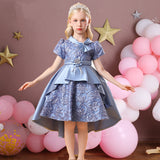 Kid Baby Girl Princess Wedding Party Ball Gown Embroidered Elegant Dresses
