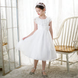 Kid Girl Lace Collar Princess Flower Wedding Formal Elegant Dresses