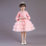 Kid Girl Princess Long Sleeve Cake Show Dress