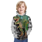 Children Kid 3D Printed Dinosaur Pattern Hoodie