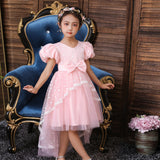 Kid Girl Tuxedo Flower Princess Lace Dress