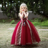 Kid Girl Embroidered Princess Christmas Party Cosplay Dress