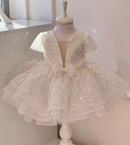 Kid Baby Girl Princess Pompous Gauze Flower Sequin Dresses