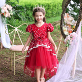 Kid Girl Tuxedo Flower Princess Lace Dress