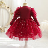 Kid Girl Long Sleeve Princess Star Mesh Dress