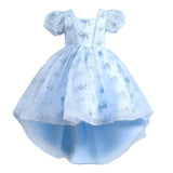 Kid Girl Embroidered Little Host Wedding Trailing Dress