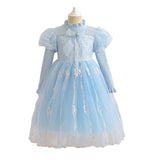 Kid Baby Girls Princess Elsa Long Sleeve Dress