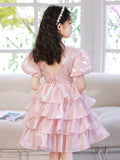 Kid Baby Girl Princess Pink Pooper Yarn Birthday Dresses