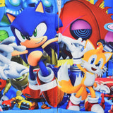 Kid  Hooded Jacket Hedgehog Sonic Sonic Zipper Coats