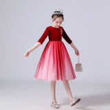 Kid Girls Princess Medium Long Sleeve Mesh Velvet Dresses