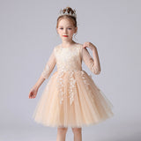 3-12T Kid Girl Piano Princess Wedding All Seasons Dresses