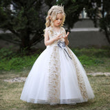 Kid Girl Embroidered Princess Christmas Party Cosplay Dress