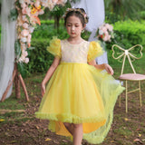 Kid Baby Girls Piano Performance Birthday Pomful Dress