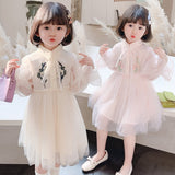 Kid Baby Girl Princess Long Sleeve Mesh Dress