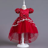 Kid Girl Tuxedo Flower Princess Lace Dress