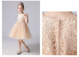 3-12T Kid Girl Piano Princess Wedding All Seasons Dresses