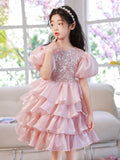 Kid Baby Girl Princess Pink Pooper Yarn Birthday Dresses