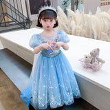 Kid Girl Frozen Aisha Long Sleeve Princess Dress