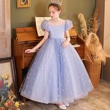 Kid Girl Flower Girl Piano Performance Princess Dress