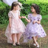 Kid Girl Embroidered Little Host Wedding Trailing Dress