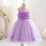 Baby Girl Princess Strapless Flower Mesh Lace Petals Dresses