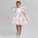 Kid Baby Girls Princess Bubble Sleeve Mesh Pompous Dresses