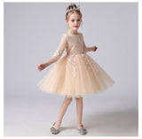 3-12T Kid Girl Piano Princess Wedding All Seasons Dresses