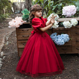 Kid Girl Princess Mesh Puffy Wedding Floral Dress
