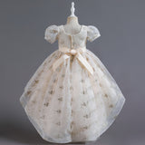 Kid Girl Embroidered Little Host Wedding Trailing Dress