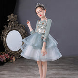 Kid Girl Princess Show  Autumn Winter Long Sleeve Dress