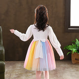 Kid Girl Long Sleeve Rainbow Princess Dress