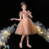 Kid Girls Princess Fashionable Puff Piano Performance Dress