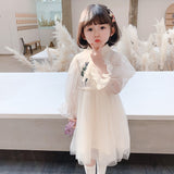 Kid Baby Girl Princess Long Sleeve Mesh Dress