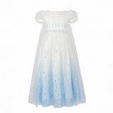 Kid Baby Girl Princess Summer New Frozen Aisha Pompous Dresses