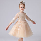 3-12T Kid Girl Piano Princess Wedding All Seasons Dresses