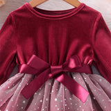Kids Baby Girl Flannel Long Sleeve Cute Ptincess Dresses
