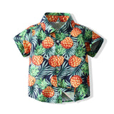 Kid Baby Boys Suit Beach Short Sleeve Pineapple Summer 2 Pcs Sets