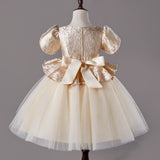 Kid Girl Princess Fashionable Sequin Dresses
