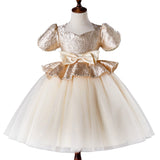 Kid Girl Princess Fashionable Sequin Dresses