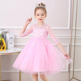 Kid Girl Mesh Short Sleeved Performance Dresses