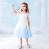 Kid Baby Girl Princess Summer New Frozen Aisha Pompous Dresses