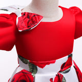 Kid Girl Princess Christmas Satin Bow Short Sleeve Rose Dresses