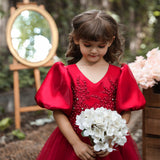 Kid Girl Princess Mesh Puffy Wedding Floral Dress