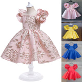 Kid Baby Girl Jacquard Embroidered Flowers Retro Dresses