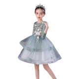 Kid Girl Princess Show  Autumn Winter Long Sleeve Dress