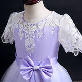 Kid Girl Princess Dress Lace Bow Wedding Dresses