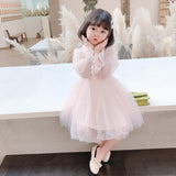 Kid Baby Girl Princess Long Sleeve Mesh Dress