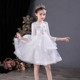 Kid Girl Princess Show  Autumn Winter Long Sleeve Dress