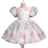 Kid Baby Girls Princess Bubble Sleeve Mesh Pompous Dresses